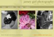 Jersy Girl Wedding Photography Website